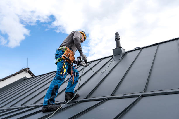 Best Roof Moss and Algae Removal  in Newberg, OR